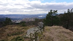 Kronhaugen
