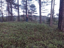 Nordvest for Torvmyr