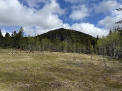 Klingerstolen