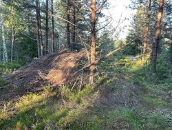 Karushøgda