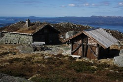 Vardhaugselet