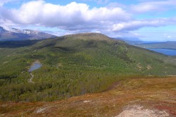 Kvitfjellet