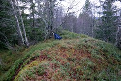 Rudshaugene