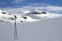 Lysenuten