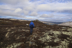 Hårånuten