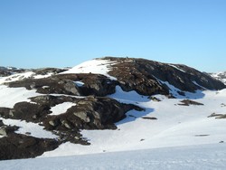 Falkarheii