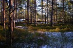 Kølåsen Sørøst