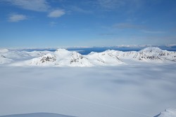 Polhøgda