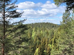 Jonskollen