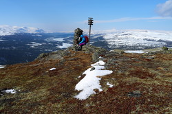 Rudihøe