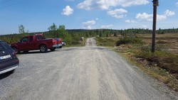 Nyseterbommen
