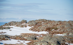 Vardliberget