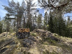 Skårgården