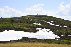 Vardahaug