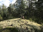 Pipenhusåsen