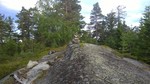 Holtehedde