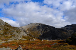 Storbua