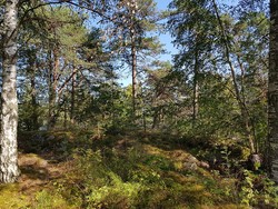 Nordre Kaholmen