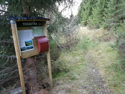 Teigsetra turmål
