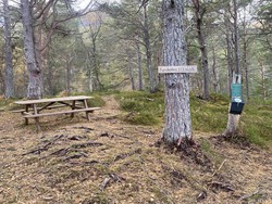 Furukollen
