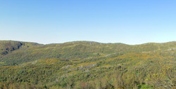 Grønfjellet