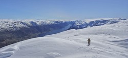 Vardanuten
