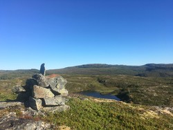 Merrakråa