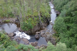 Kjerringhakket