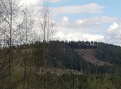 Engertoppen