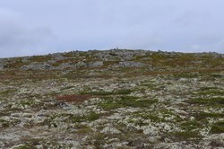 Fulufjellet nasjonalpark