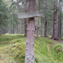 Finstadvangen
