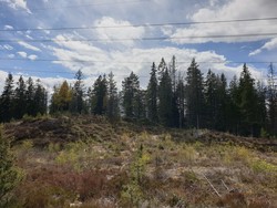 Svartvannsåsen