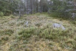 Åshagahøgda
