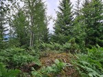 Kulerudåsen