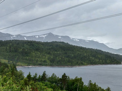 Ørnhaugen