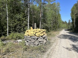 Riksrøys 82