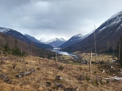 Einehaugen