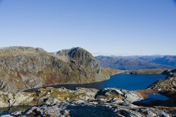 Vardanuten