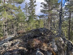 Lyåsen