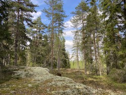 Brännbergen