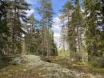 Brännbergen