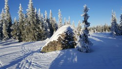 Grågampen