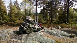 Kvitberget