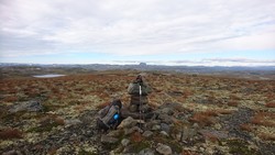 Høgevarden