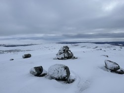 Hestkampen Sør