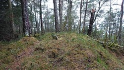 Husfjellet