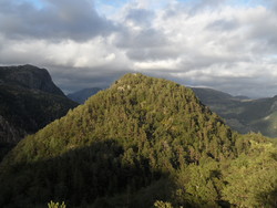 Skoredalsknuten