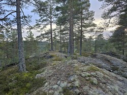 Bergsvannskollen