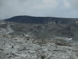 Høglegan
