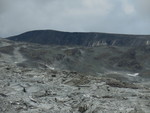 Høglegan